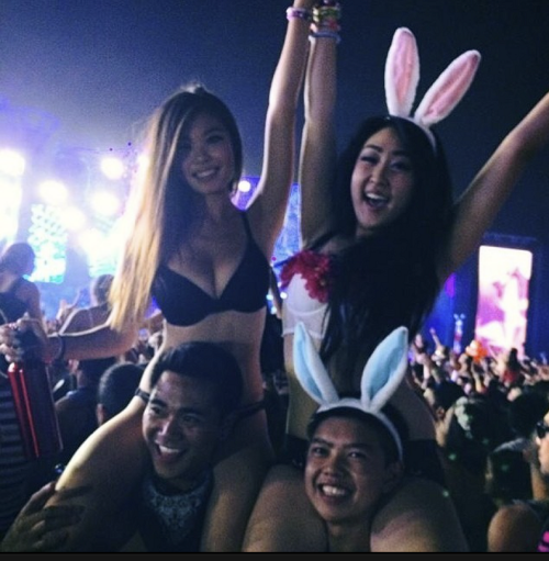 image31ff1be7c78bd47a