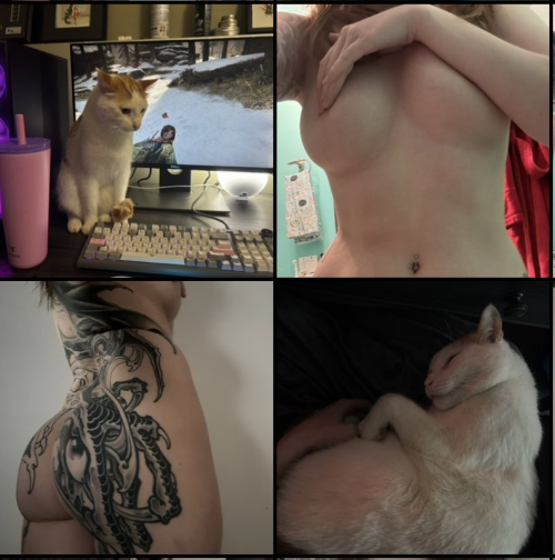 image4da3a489da3b9c02