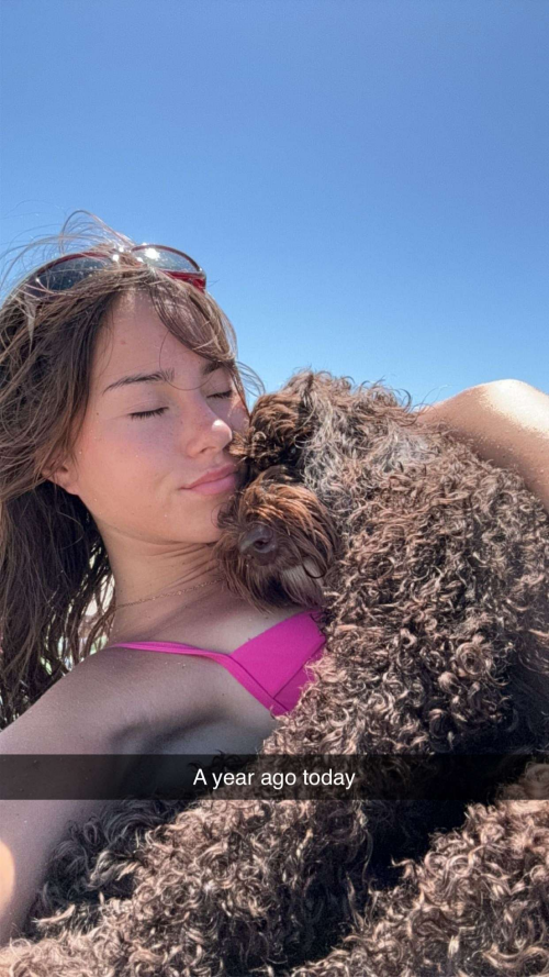 image5f37667179b9f437