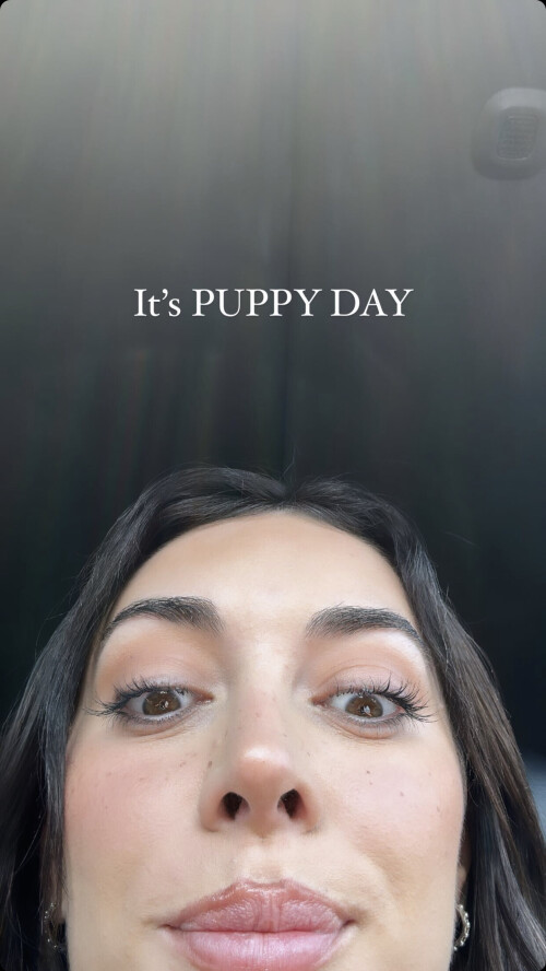 image6bf01f758f68d645