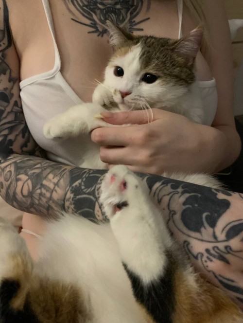 image84779ffcbc313125