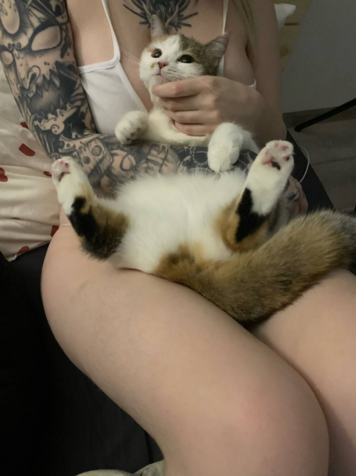 imagefcfc9efa916fc45d