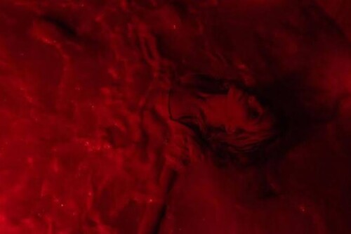 images 144da33ecd55691fe