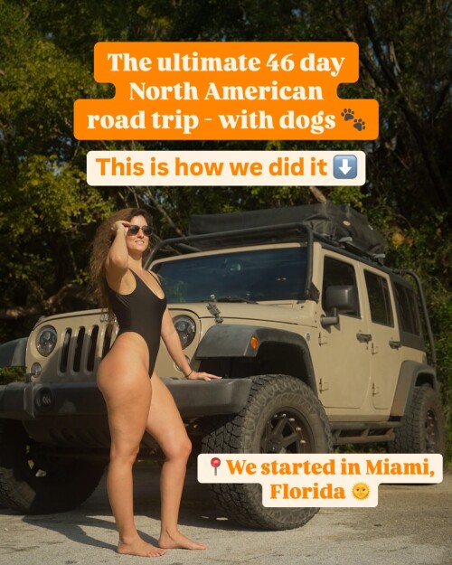 img000505c2af82732aeca4