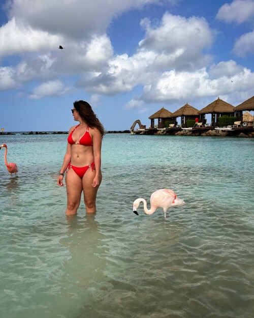 img00094e7c1203164a92f6