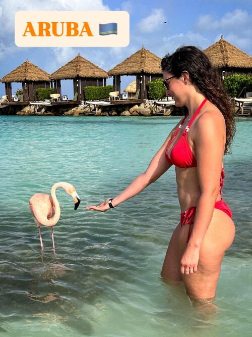 img00447466da571fdee82d