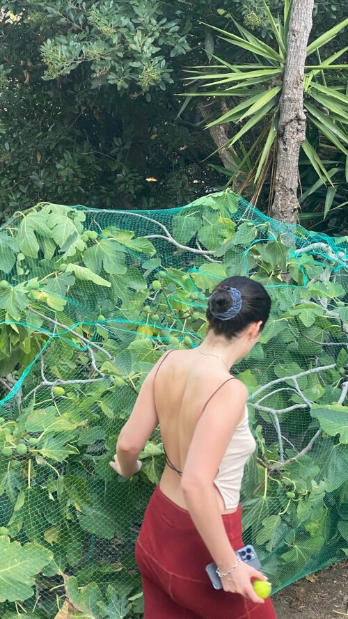 img2 134d1eb15bd6bac44a