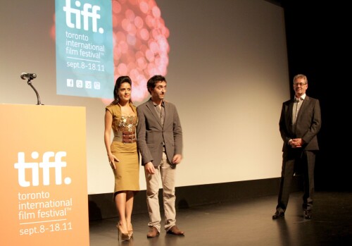 img 00016c74bbd94c07135a5