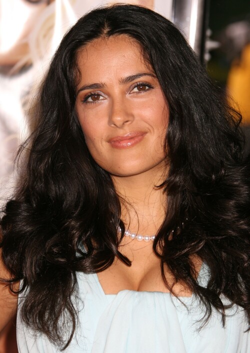 img 00533718ccd44714ca1b1