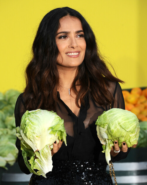 img 00670541f9d47d59dab46