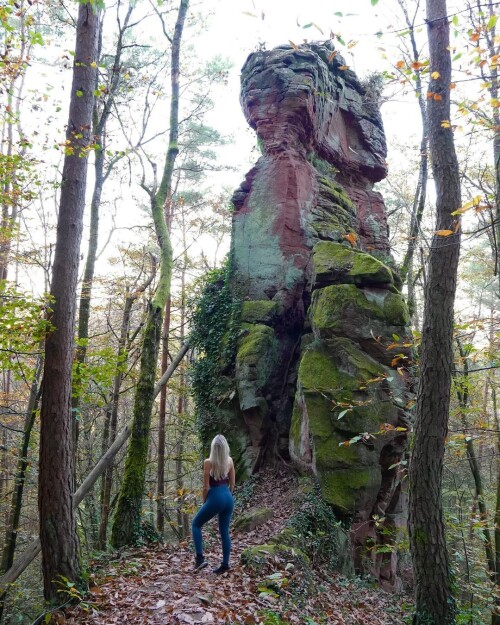 img 3ZNckQu68e6cce3aaee53df