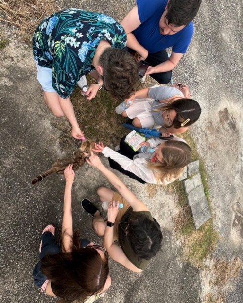 img jRUCQab0b1669105dc0bbcc