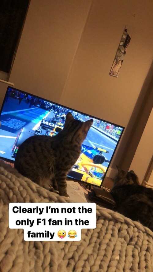 imogenlucieee CV BMcbDraLc5aa0a517e1b53e0