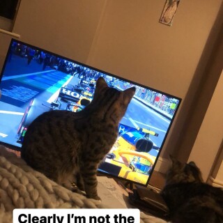 imogenlucieee---CV_BMcbDraLc5aa0a517e1b53e0