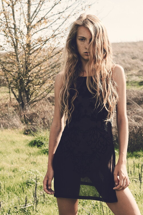 indexc4de1e3530e2bd2f