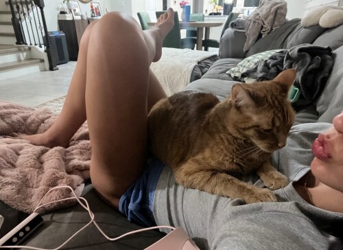 indihartwells2025 7 8 5.33.48 storye76fe62c4eec5f35