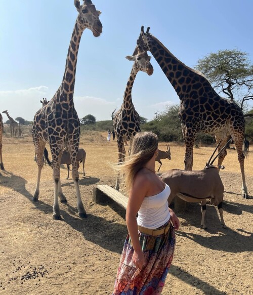 ingeborgam 1740237161 3573690789105247694 12663345707e57e8fba30f7c68