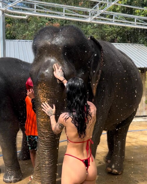 instagram 1707283268807ed7414ee763d3c4b