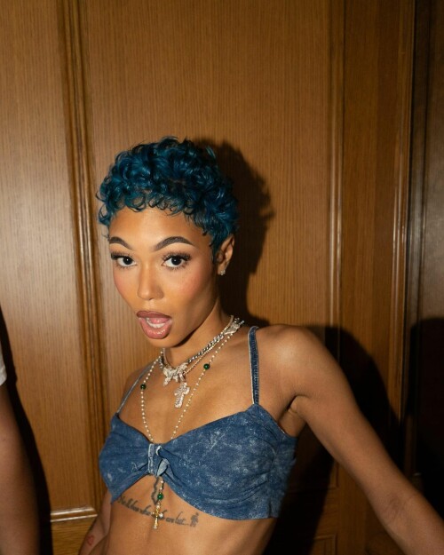 instasave2e5db2fa3fa8443d