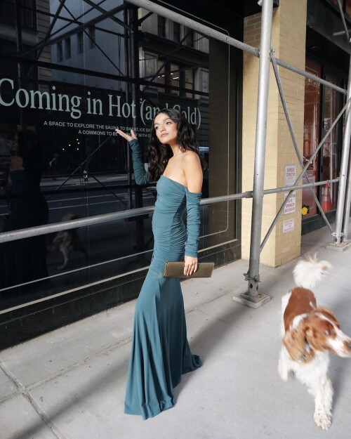 instasave36ed97ae23655ea8