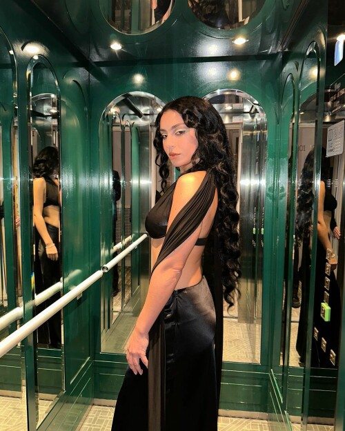 instasave494cd8869696b17c