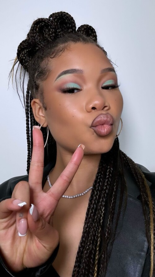 instasave49b42a821ef799d1