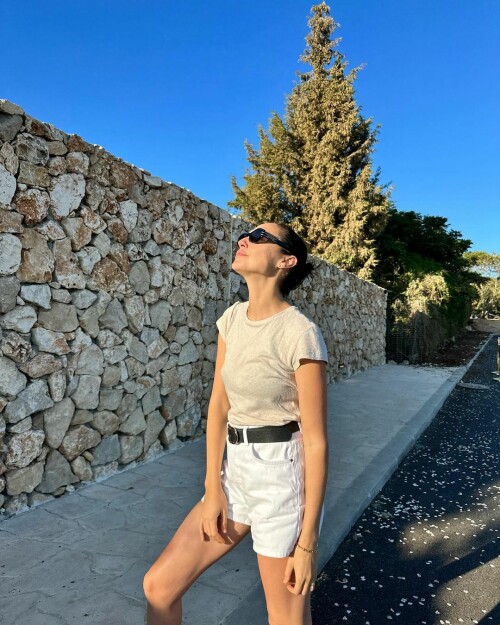 instasave4b62f42f583a19ba