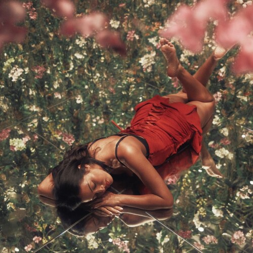 instasave8e167fcf2f4c114c