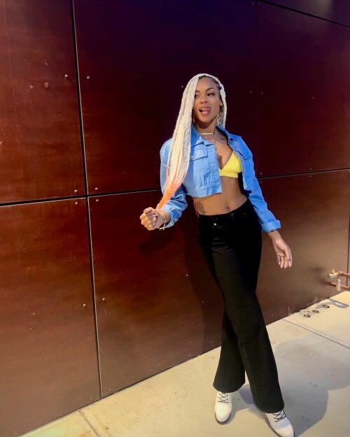 instasave93646d4d5bf1f6a7