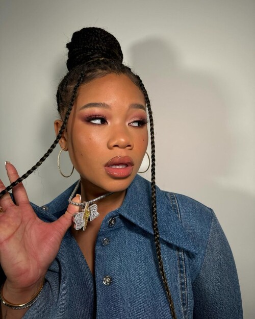 instasavec2bd71ef36a9f6dd