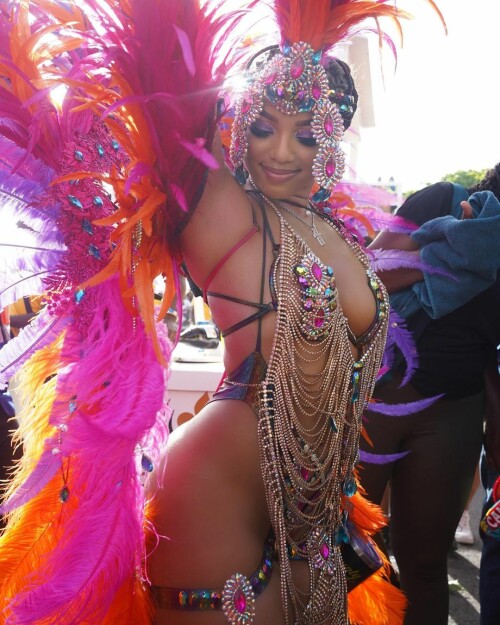 instasavec43a7140a46d5469