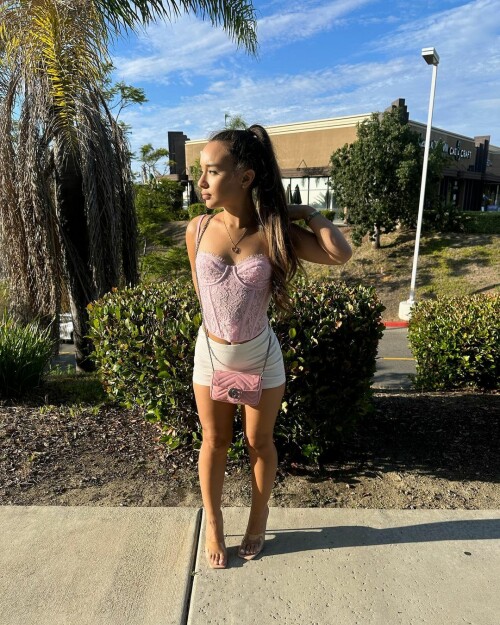 instasavec6870edb0de060ad