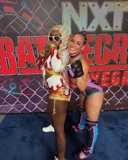 instasaveceb41394f336688c