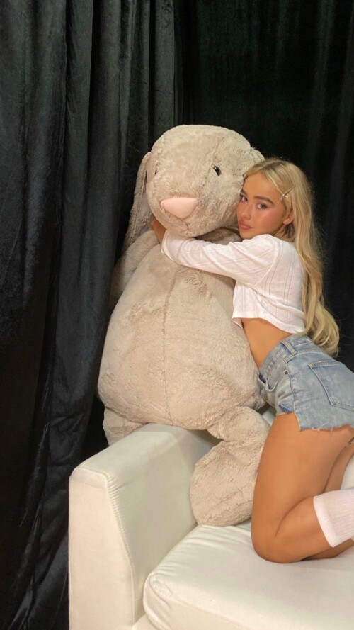 instdown0b36858e48b99c60