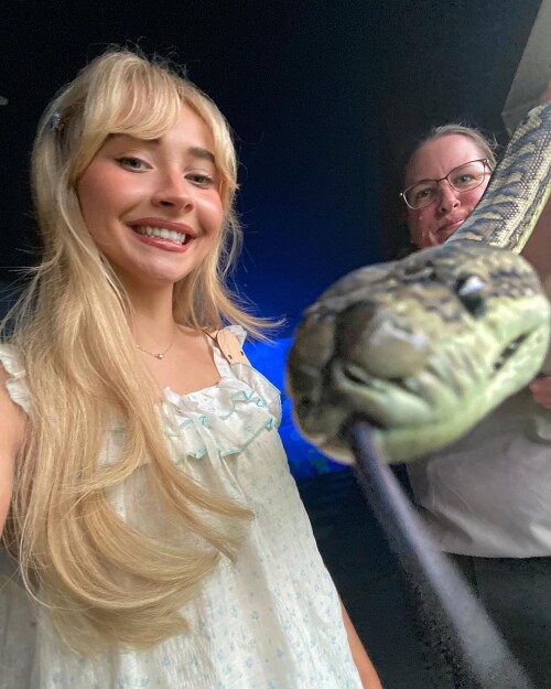 instdown28ba98f0e0354d89