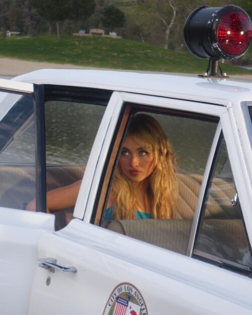 instdownd50c98118c3154b0