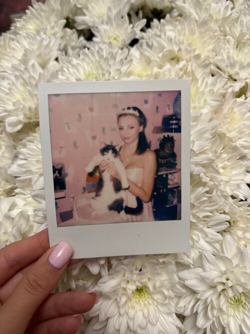 jJBS4tD 95Me8f69c476ceba0a6