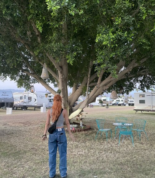 jennierubyjane 279353705 522036446203891 610868763191562707 n