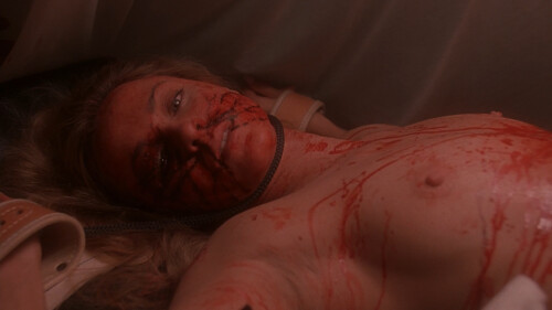 jod stcbfm 09c87cec153ca5691d