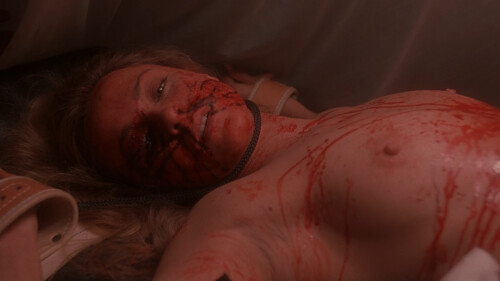 jod stcbfm 100e7fb279e6a5341c