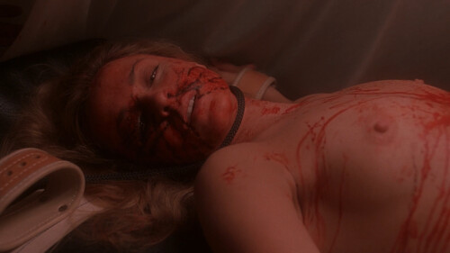 jod stcbfm 126d309bd504e98143