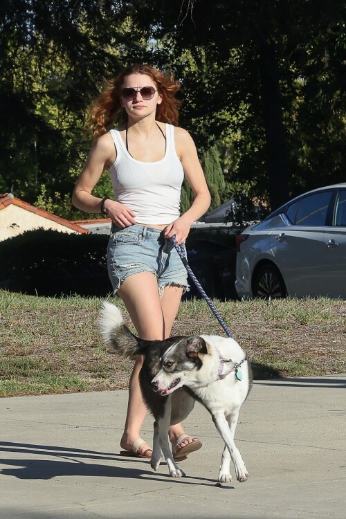 joey 185347afebd6fc002