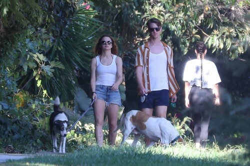 joey 195cafa5d257c3871a