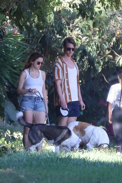 joey 22392cb08a8469f142