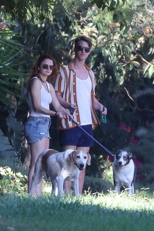 joey 260c0492469bac22d9