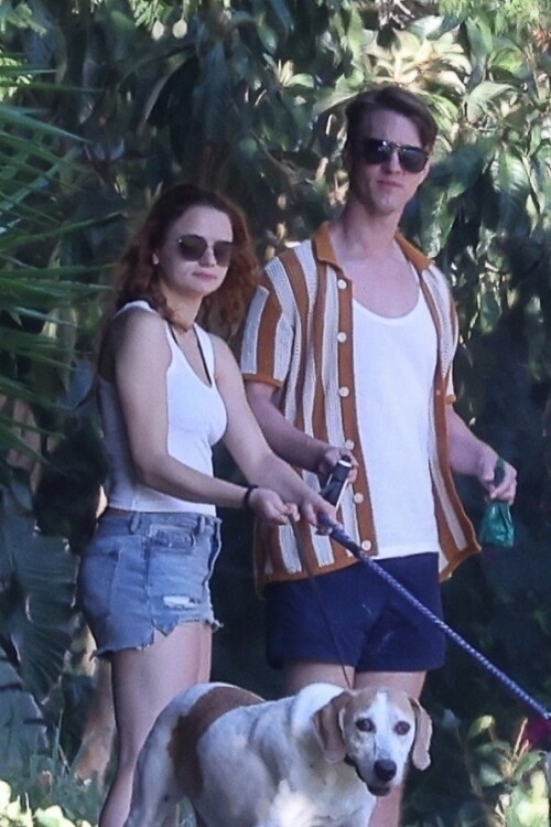 joey 2761f9001d941e6728