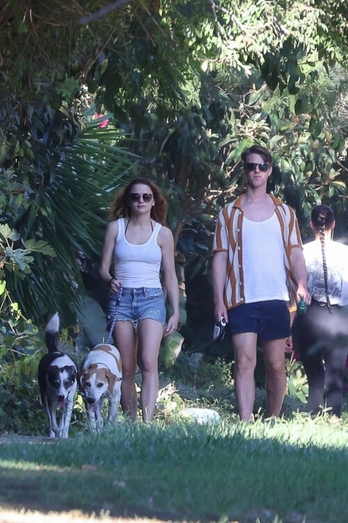 joey 29f1ad3d15a546d94f