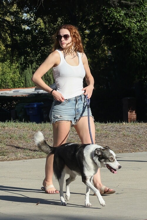 joey 5e804e005b4203e51