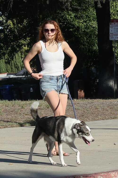 joey 784768f116685334d