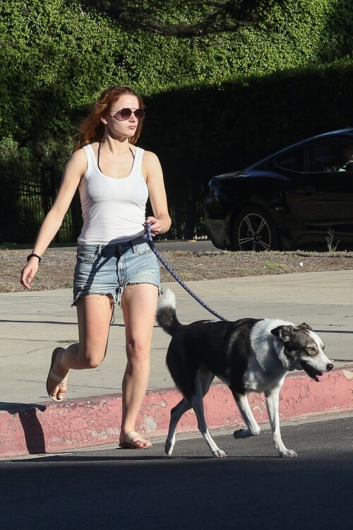 joey 9db10edda9b828d85